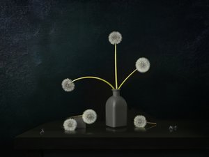 Dandelion Still Life