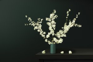 Fresh Spring Blossoms
