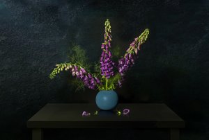 Purple Foxglove Still Life