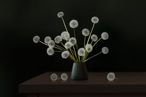 Quiet Dandelion Arrangement by Juan Antonio Palacios