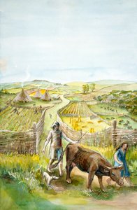 Rural Landscape by Judith Dobie