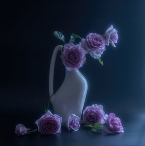  by Judy Tseng