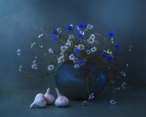 Blue Daisy Garlic Still Life by Judy Tseng