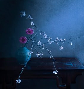 Dark Floral Elegance
