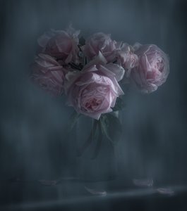 Moody Pink Roses