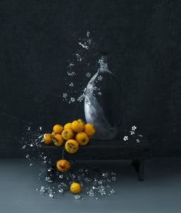 Moody Yellow Fruits by Judy Tseng