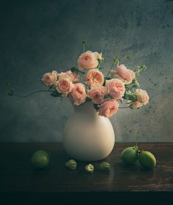 Pink Roses Still Life