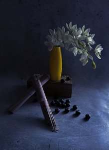 White Orchids Yellow Vase