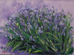 Lush Purple Irises by Jukyong Park