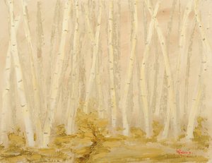 Misty Birch Forest