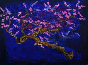 Pink Cherry Blossom Night