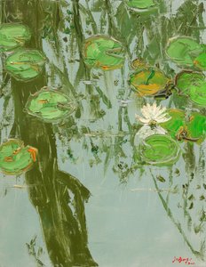 Serene Water Lilies