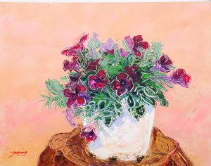 Vibrant Potted Flowers