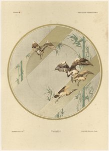 Storks, plate 10 from 