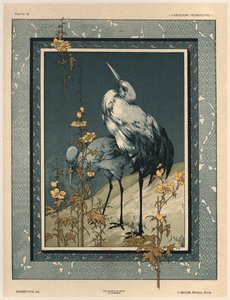 Storks, plate 40 from 