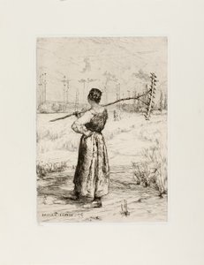 The Return from the Field