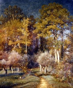 In a Corner of the Forest