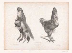 Study of a Dead and a Live Chicken by Jules Joseph Augustin Laurens