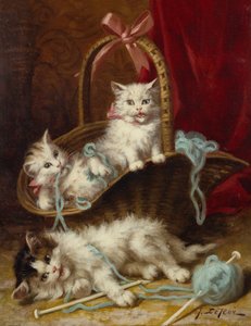 A Basket of Mischief