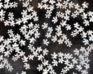 Delicate White Petals