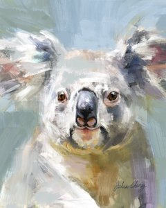 Gentle Koala Gaze by Julia Cheney