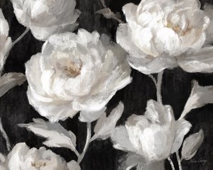 White Peonies On Black by Julia Cheney