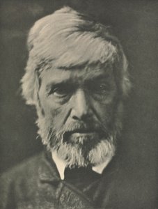 Carlyle by Julia Margaret Cameron