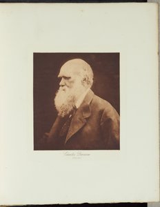 Charles Darwin by Julia Margaret Cameron