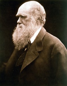 Charles Darwin, British naturalist, c1870s