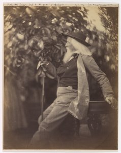 Charles Hay Cameron, Esq., in His Garden at Freshwater by Julia Margaret Cameron