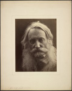 Henry Taylor by Julia Margaret Cameron