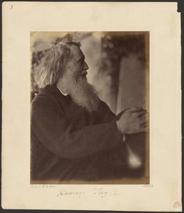 Henry Taylor by Julia Margaret Cameron