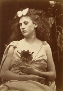 The Sunflower, early 1870s