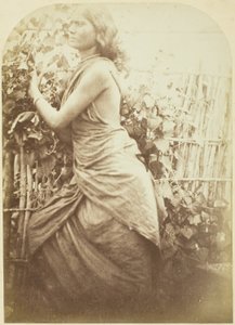 Woman, Ceylon