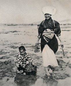 Digging Clams at Low-Tide in Tokyo Bay