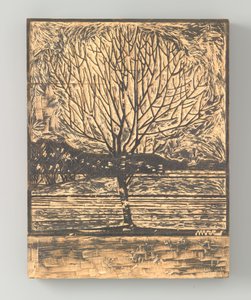 Bare Tree