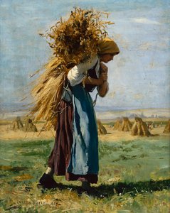 In the Fields by Julien Dupre