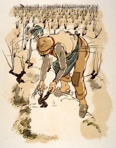 Humorous Wine Illustration 1946