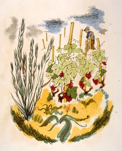 Humorous Wine Illustration 1946