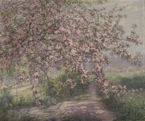 A Blossoming Apple Tree