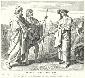 Ruth Gleaning in the Field of Boaz by Julius (after) Schnorr von Carolsfeld