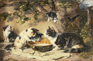 The Bowl of Milk