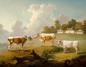 Three Long-Horned Cattle in Landscape by Julius Caesar Ibbetson