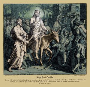 Entrance of Jesus into Jerusalem, Gospel of Matthew