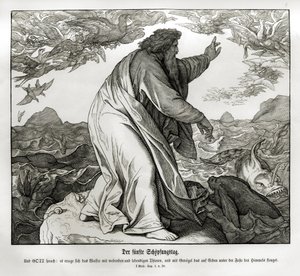 Fifth Day of Creation, Genesis by Julius Schnorr von Carolsfeld