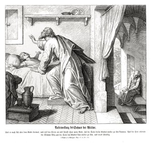 Revival of the Widow