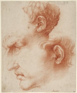 Studies of Male Head in Profile by Jusepe de Ribera