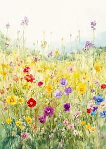 Colorful Wildflower Field