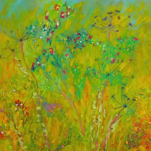 Colorful Wildflower Field