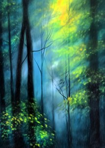 Enchanted Forest Glow